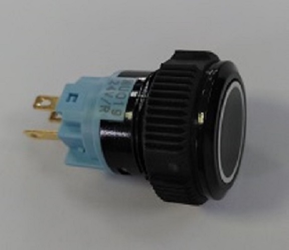 509P 19B-I 19MM PLASTİK BUTON IŞIKLI IP67